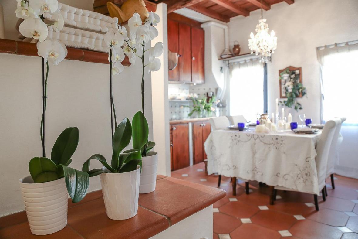 Santa Maria Apartamento Florencia